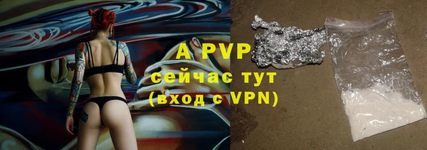 хмурый Алексин