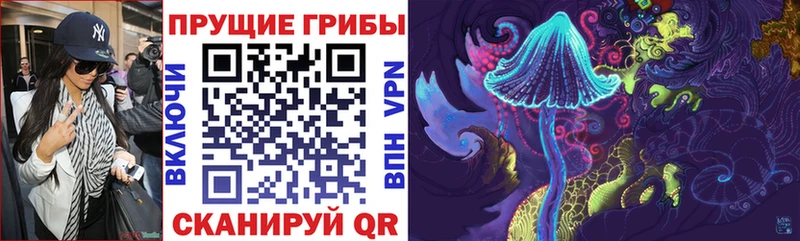 Псилоцибиновые грибы Psilocybine cubensis Кулебаки
