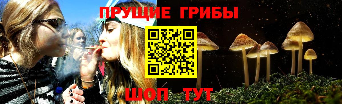 Псилоцибиновые грибы Cubensis  Вход с VPN  Кулебаки 