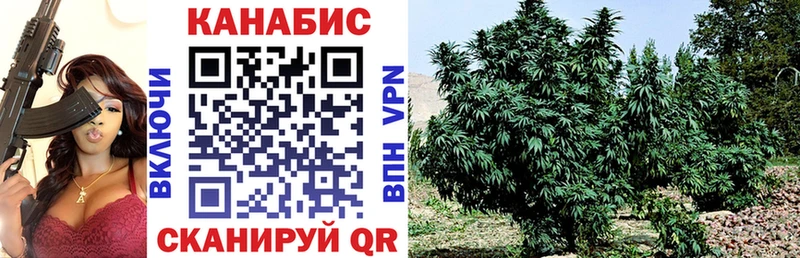blacksprut сайт  закладка  Кулебаки  Марихуана семена 
